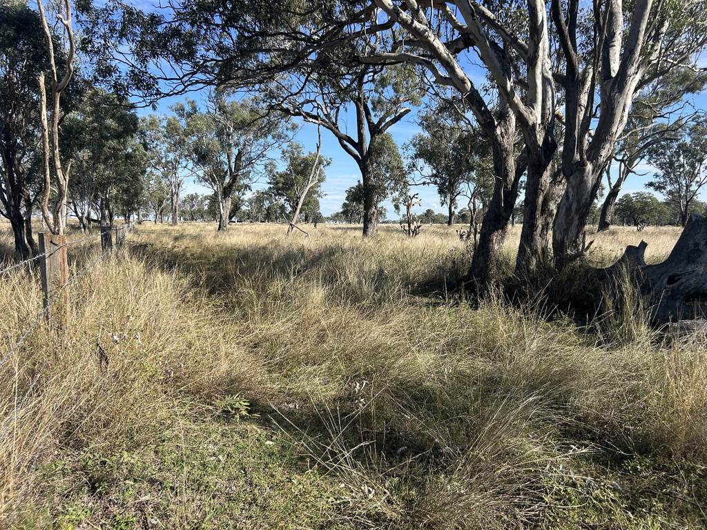 Kaimkillenbun QLD 4406