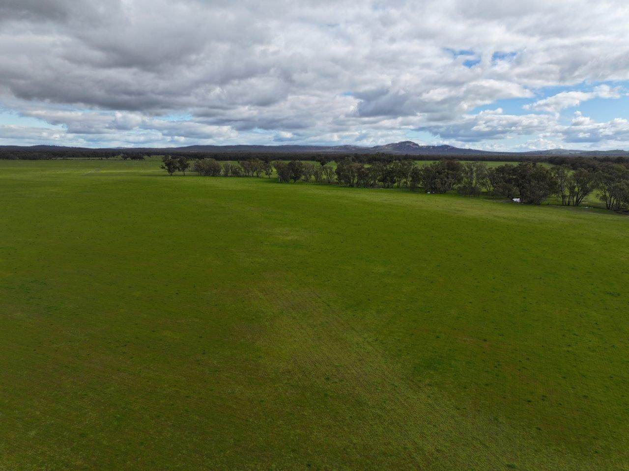 - Kurting Kingower Road, Kurting For Sale by Farmbuy.com - image 12