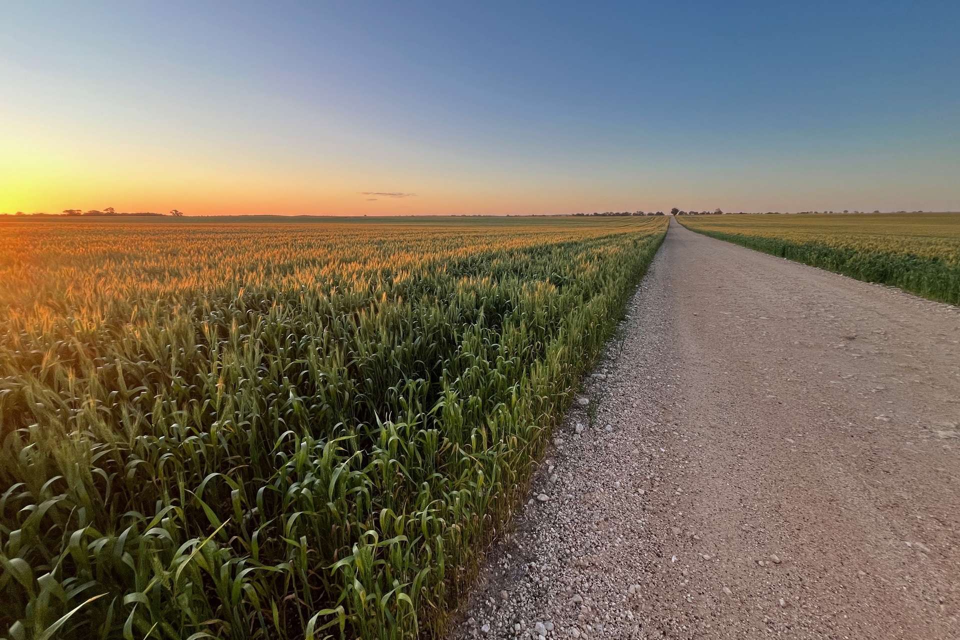 Marchagee For Sale by Farmbuy.com - image 16