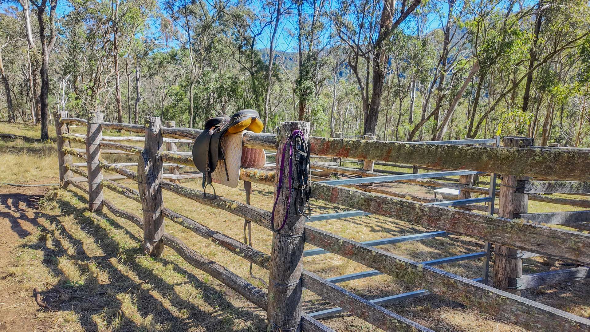 1536 Top Swanfels, Swanfels Sold by Farmbuy.com - image 21