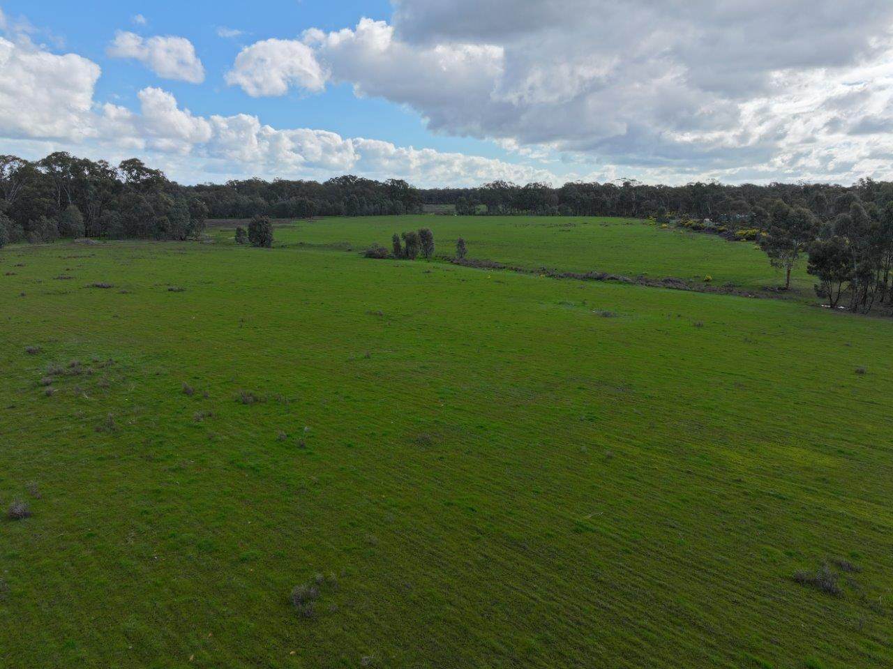 - Bendigo-Tennyson Road, Huntly Auction by Farmbuy.com - image 5