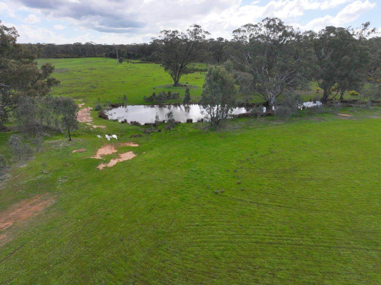 - Bendigo-Tennyson Road, Huntly Auction by Farmbuy.com - image 9