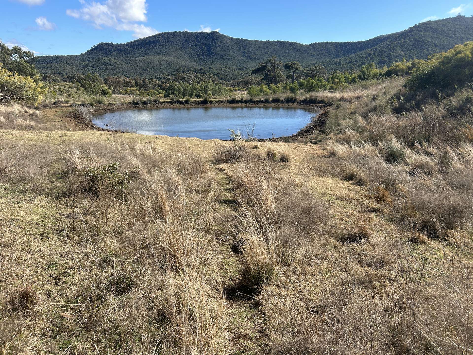 Bunya Mountains Sold by Farmbuy.com - image 17