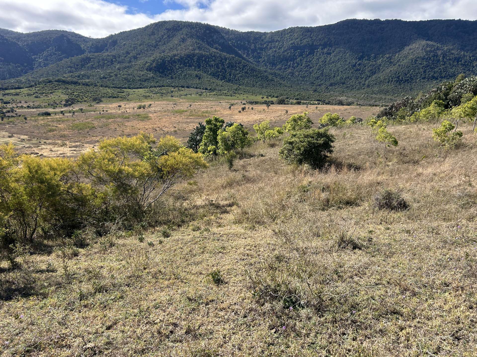 Bunya Mountains Sold by Farmbuy.com - image 8
