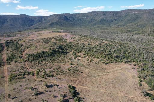 Farm Sold - QLD - Bunya Mountains - 4405 - Scenic rural lifestyle block, with scrub grazing near Bell, Bunya Mountains 
