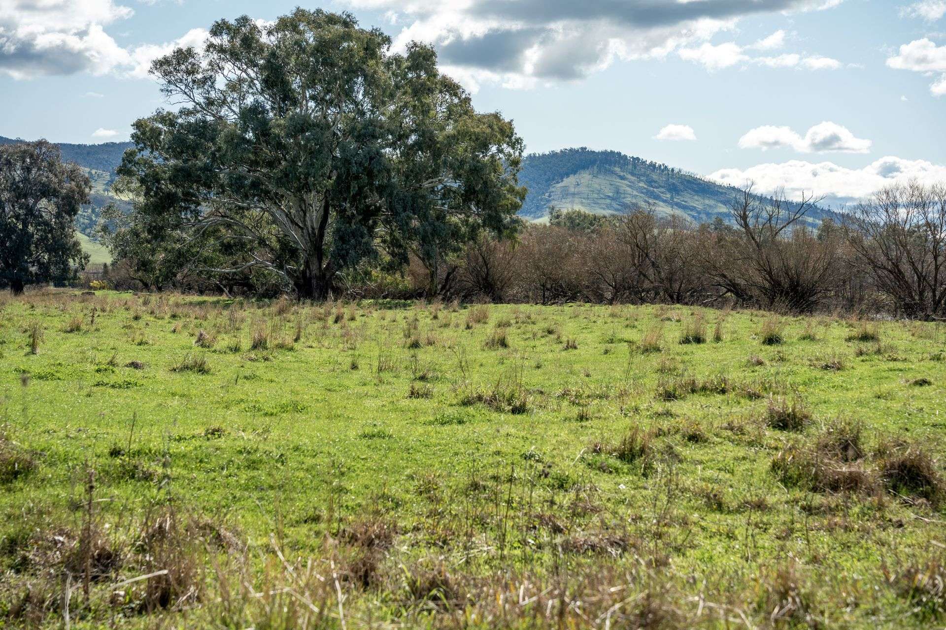 - Back Tintaldra Road, Tintaldra Sold by Farmbuy.com - image 10