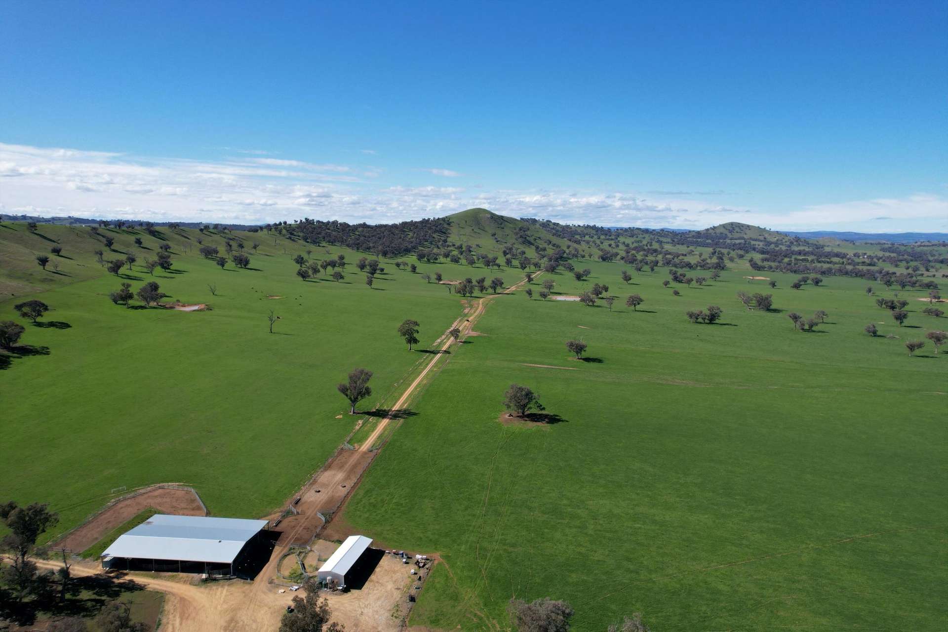0 Stonehaven Road, Holbrook Sold by Farmbuy.com - image 7
