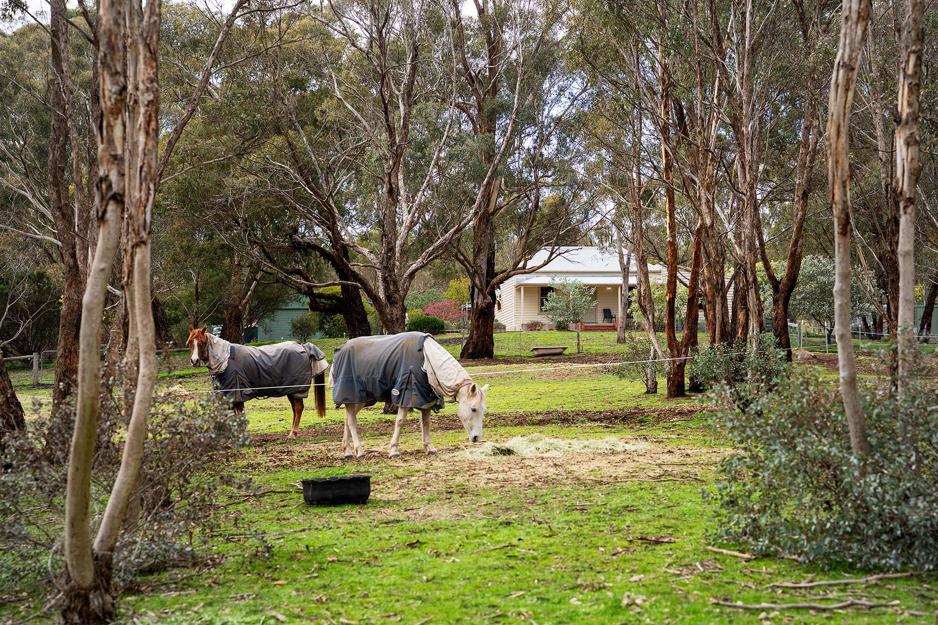 20 Commissioners Gully Road, Chewton Sold by Farmbuy.com - image 9