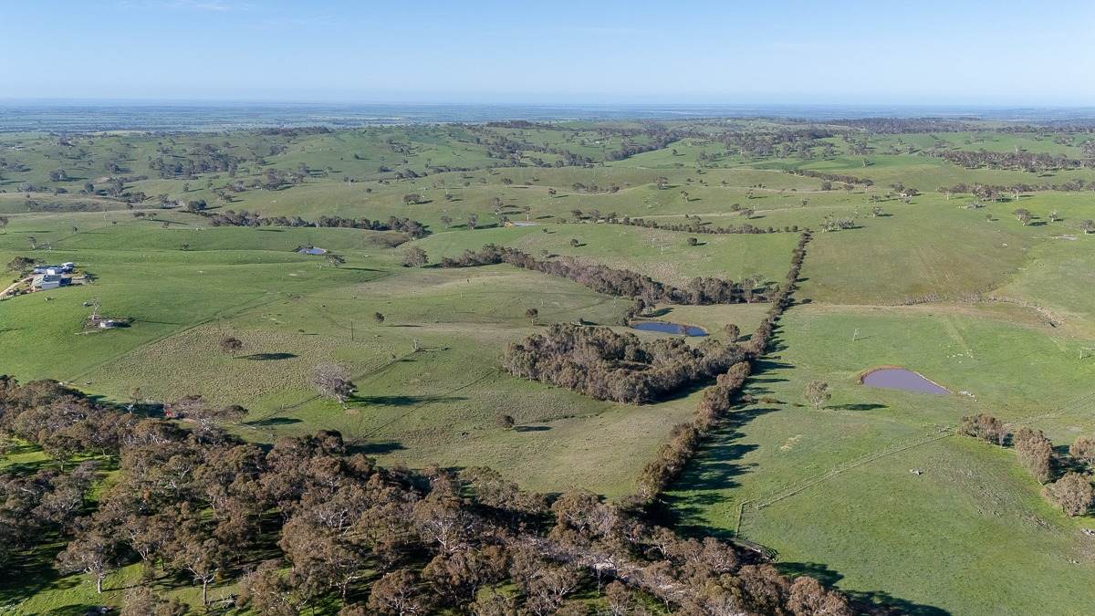 Lot 2 Old Bull Creek Rd, Strathalbyn Sold by Farmbuy.com - image 27