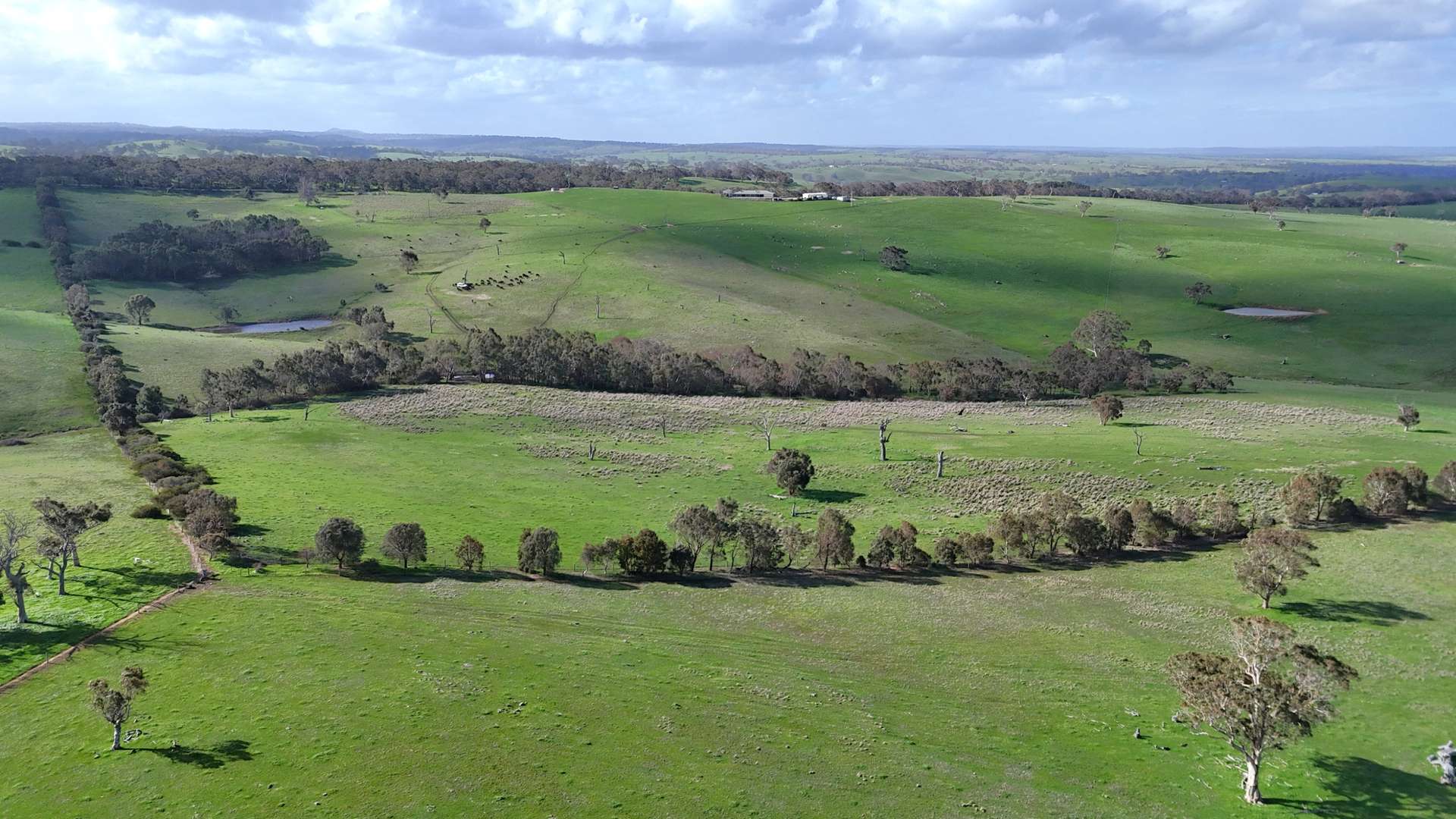 Lot 2 Old Bull Creek Rd, Strathalbyn Sold by Farmbuy.com - image 20