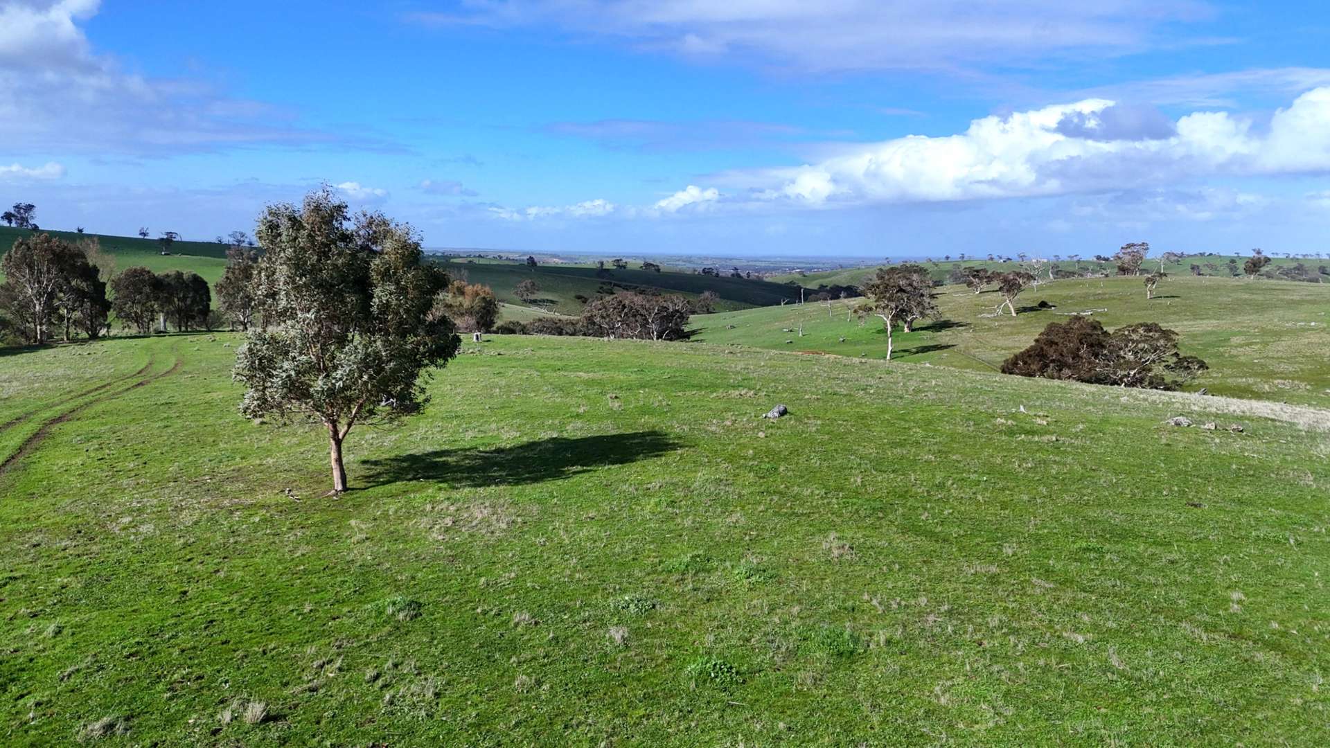 Lot 2 Old Bull Creek Rd, Strathalbyn Sold by Farmbuy.com - image 19