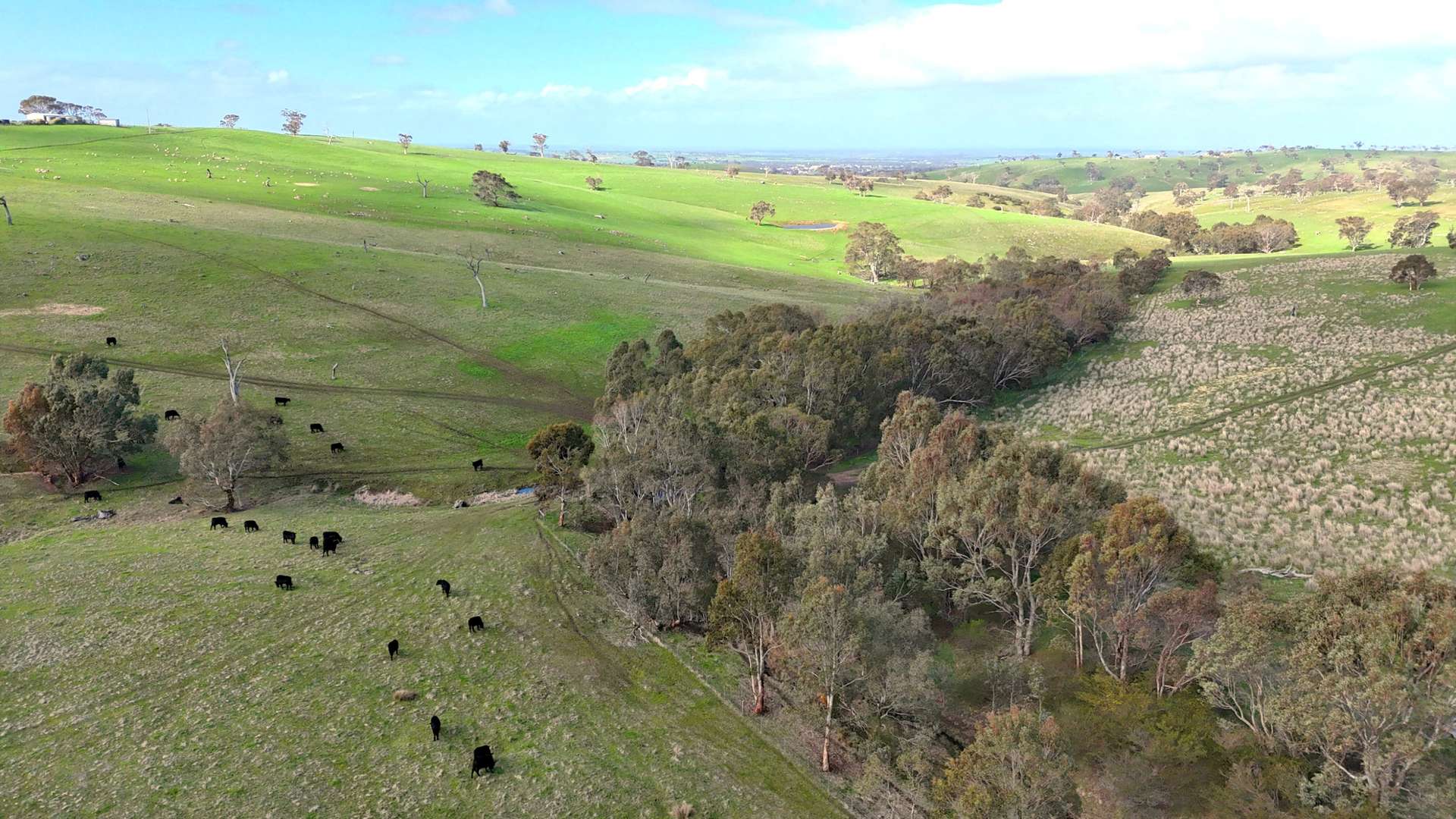 Lot 2 Old Bull Creek Rd, Strathalbyn Sold by Farmbuy.com - image 16