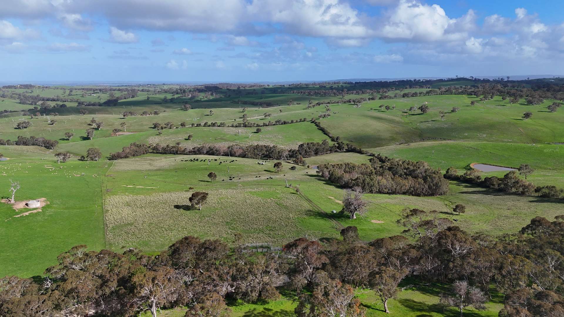 Lot 2 Old Bull Creek Rd, Strathalbyn Sold by Farmbuy.com - image 33