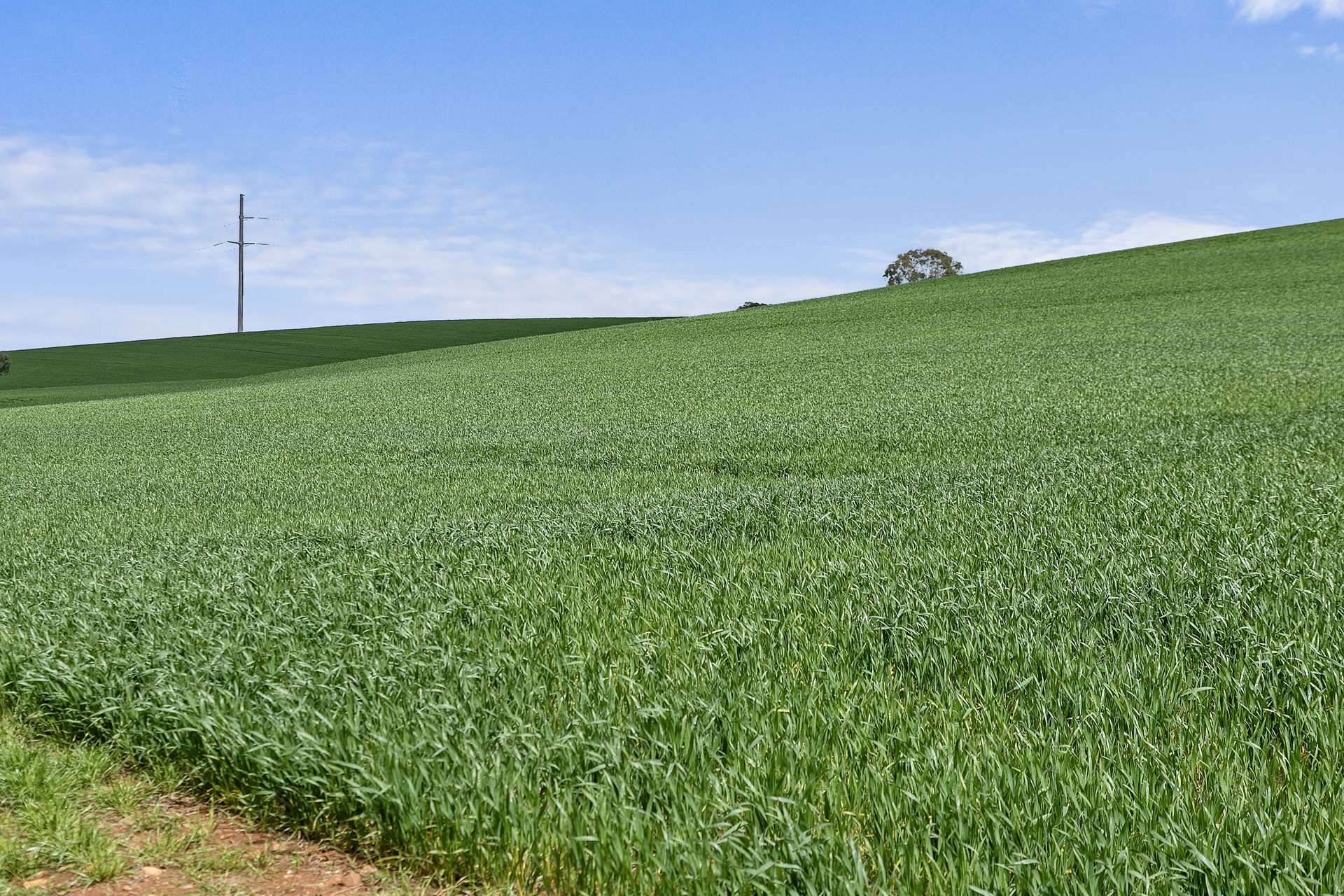 'Stone Hut' Halls Road, Wirrabara Sold by Farmbuy.com - image 6
