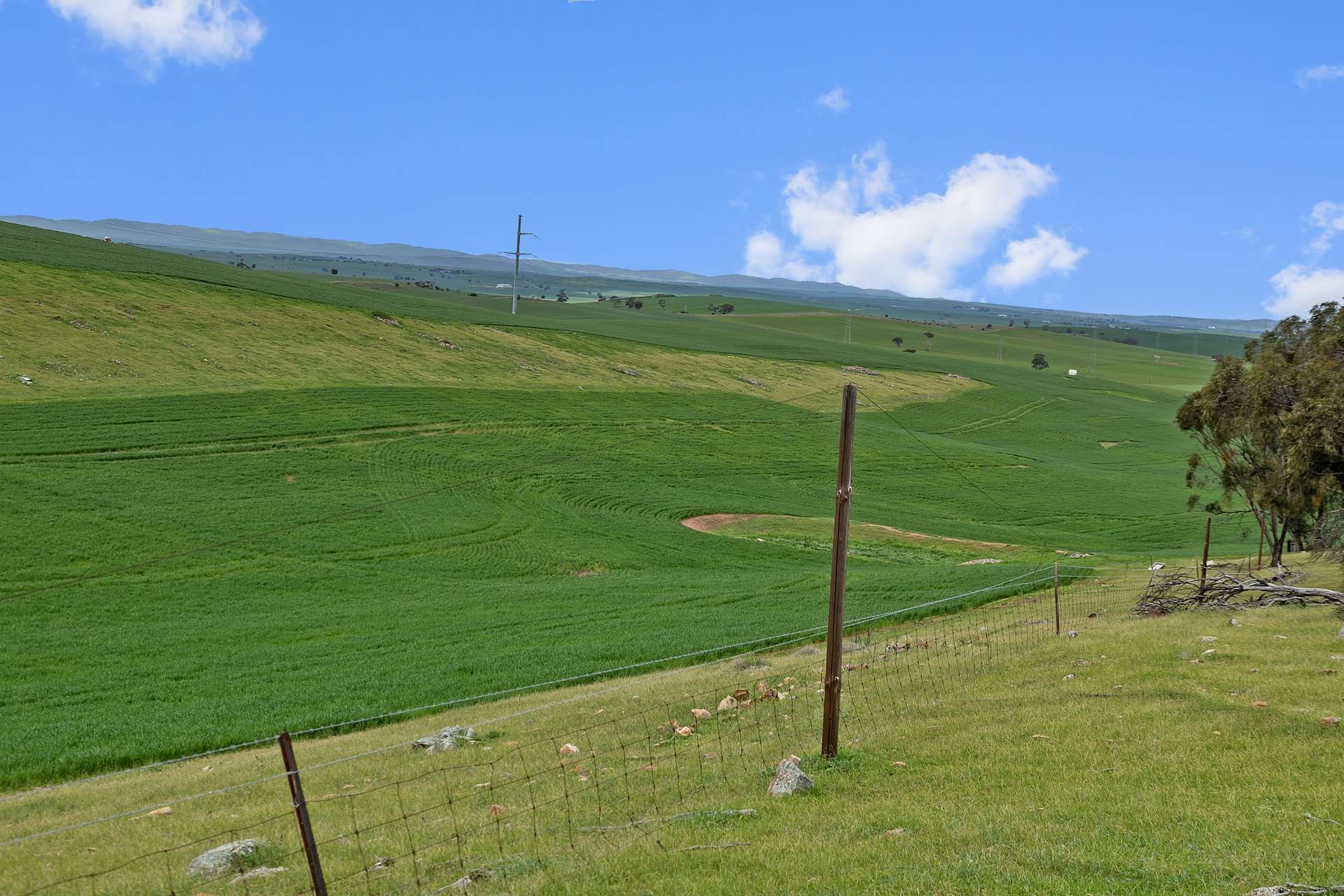 'Stone Hut' Halls Road, Wirrabara Sold by Farmbuy.com - image 16