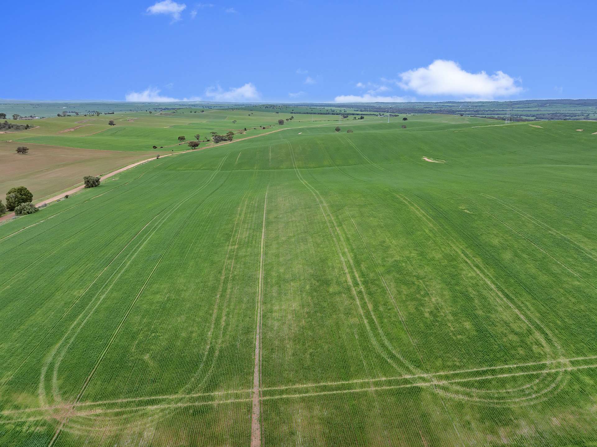 'Stone Hut' Halls Road, Wirrabara Sold by Farmbuy.com - image 3