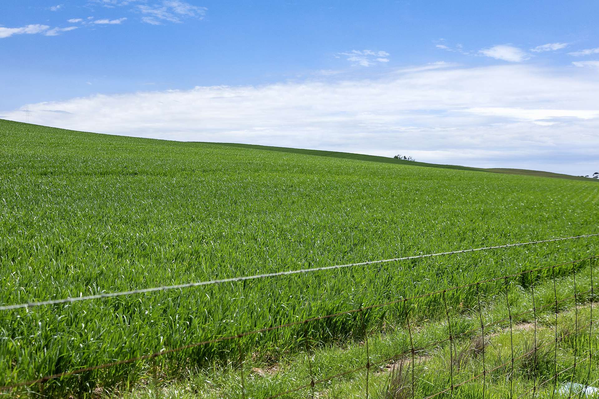 'Stone Hut' Halls Road, Wirrabara Sold by Farmbuy.com - image 13