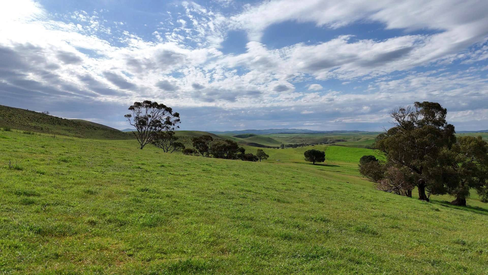 'Broughton Valley' 1 Euromina Road, Broughton River Valley For Sale by Farmbuy.com - image 8