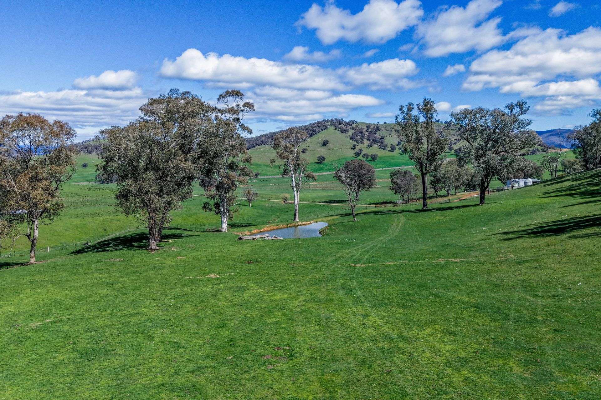 175 Oak Hill Track, Bringenbrong Sold by Farmbuy.com - image 25