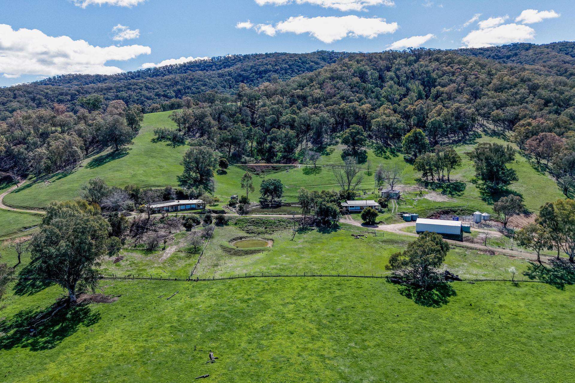 175 Oak Hill Track, Bringenbrong Sold by Farmbuy.com - image 15