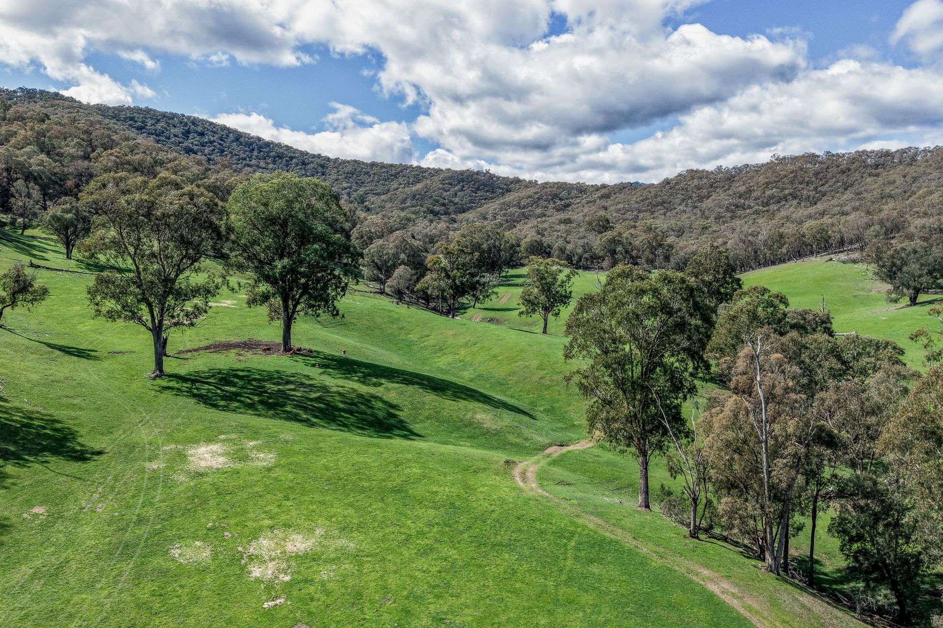 175 Oak Hill Track, Bringenbrong Sold by Farmbuy.com - image 22