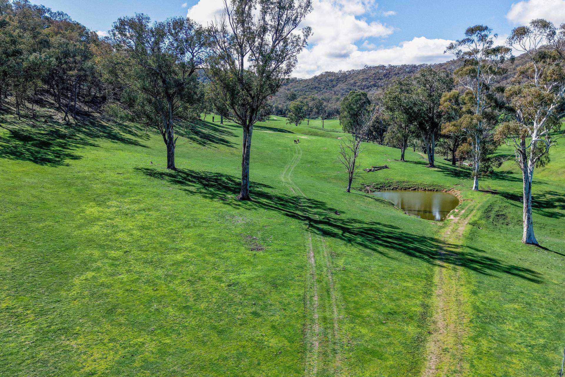 175 Oak Hill Track, Bringenbrong Sold by Farmbuy.com - image 18