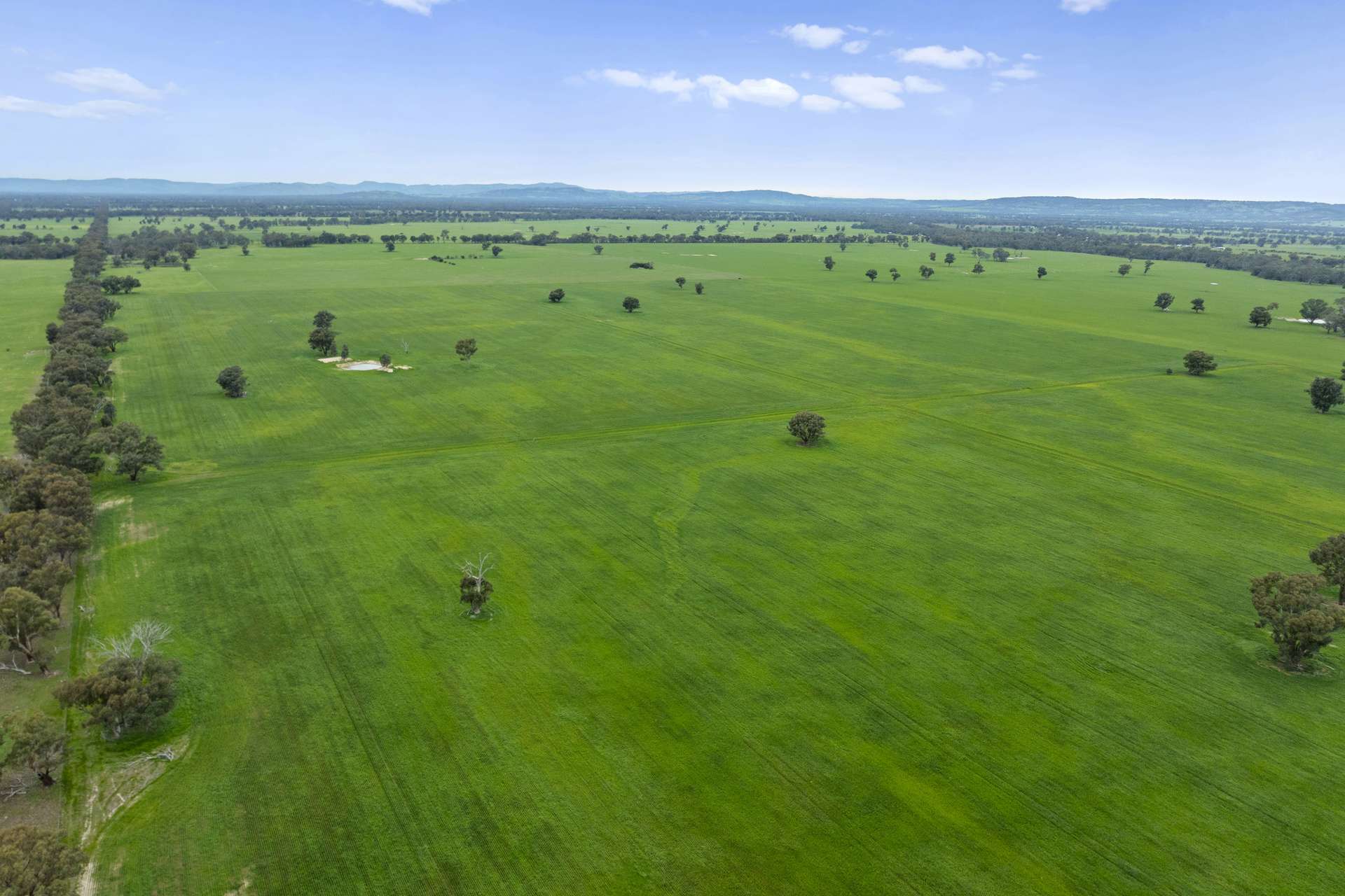 Williams Road, Nagambie Sold by Farmbuy.com - image 1