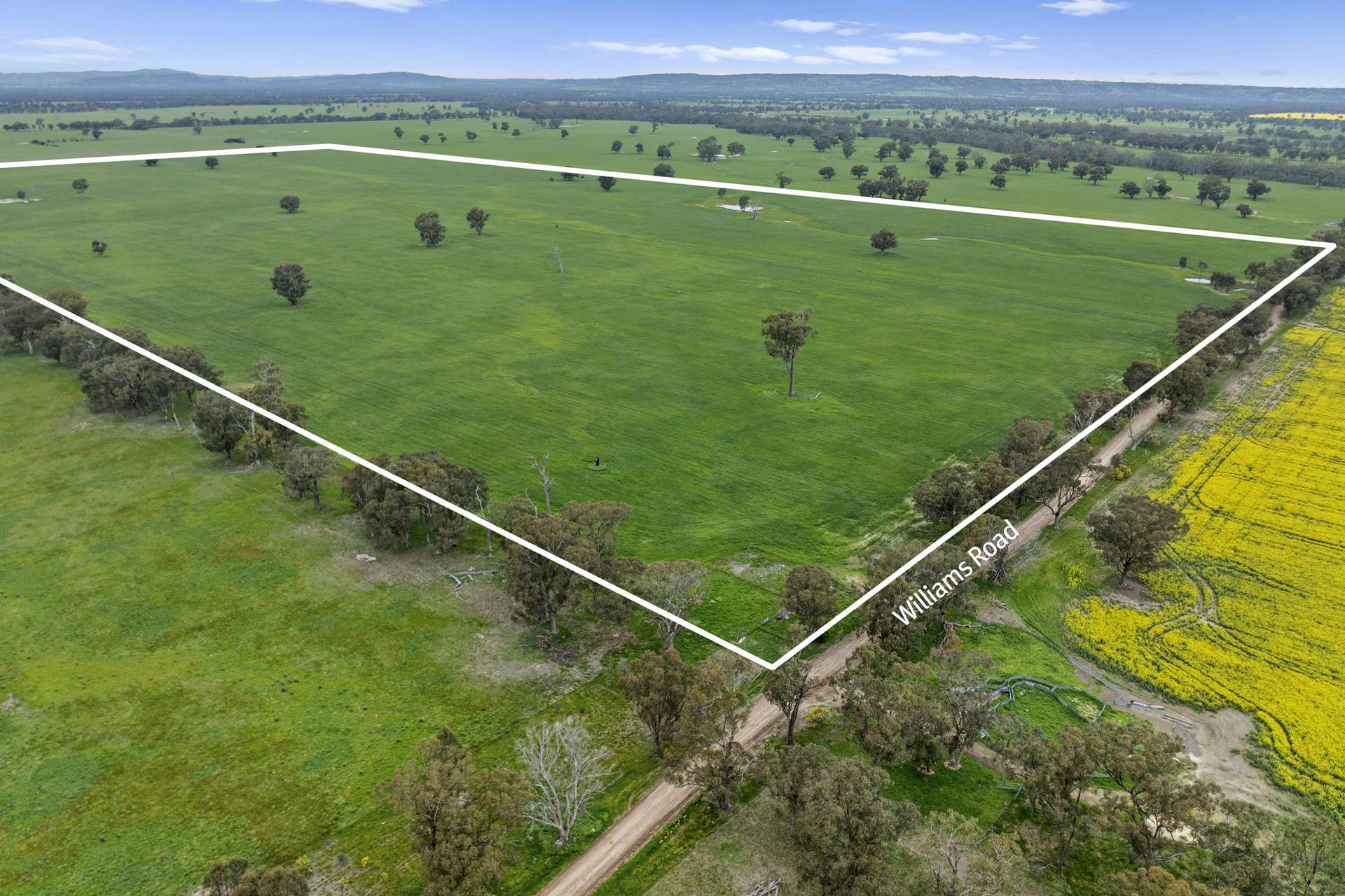 Williams Road, Nagambie Sold by Farmbuy.com - image 2