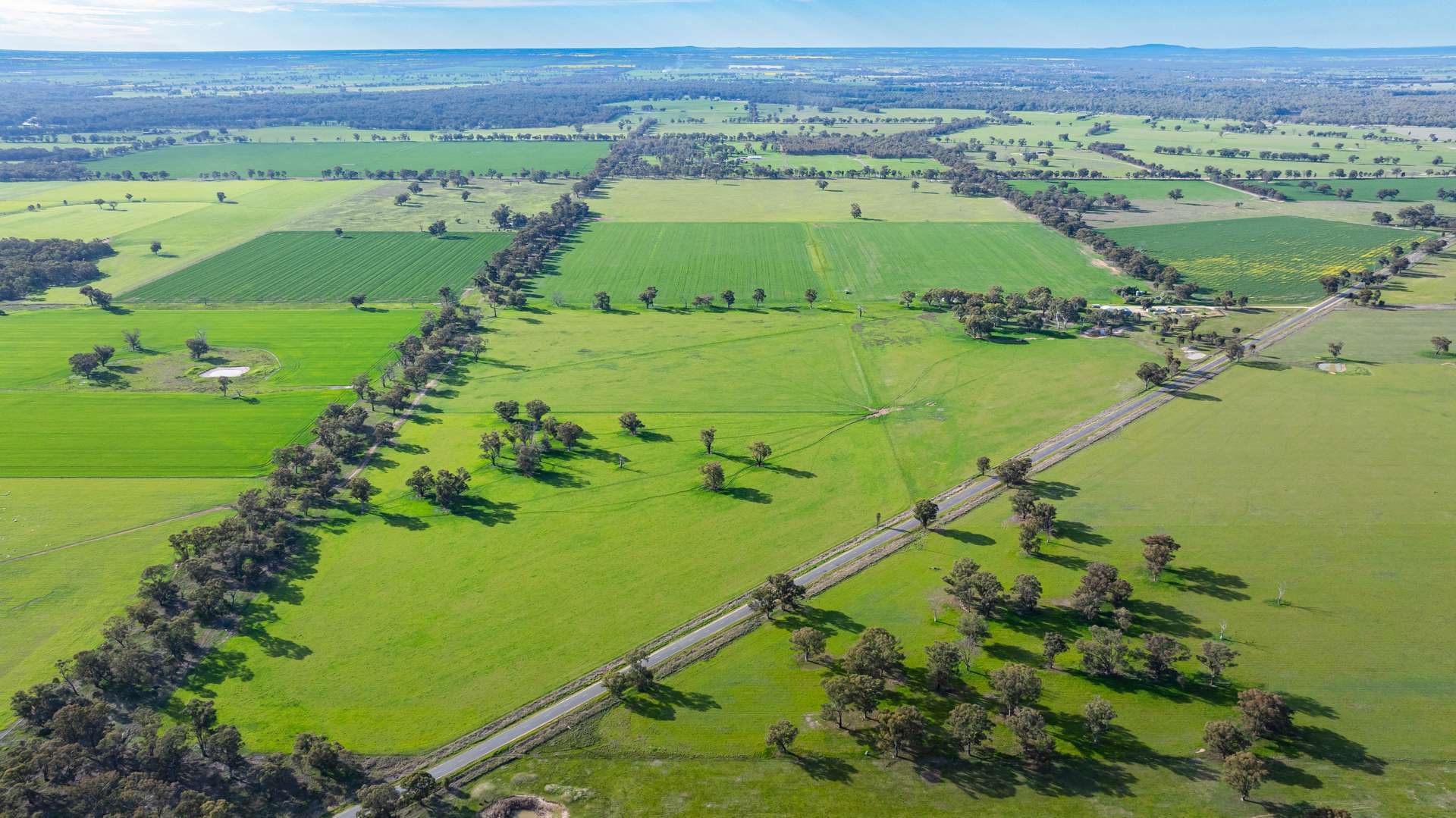 . Murray Valley Highway, Norong For Sale by Farmbuy.com - image 5