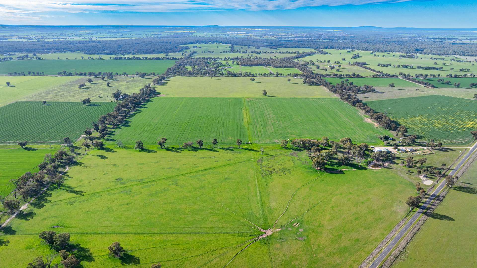 . Murray Valley Highway, Norong For Sale by Farmbuy.com - image 6