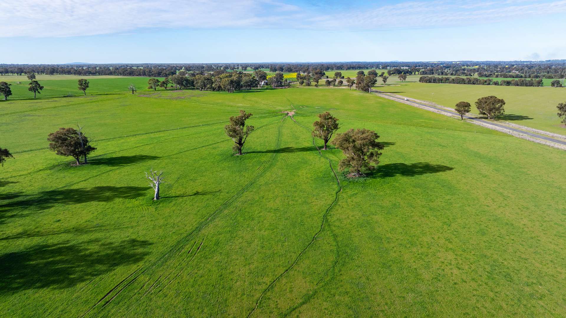 . Murray Valley Highway, Norong For Sale by Farmbuy.com - image 3