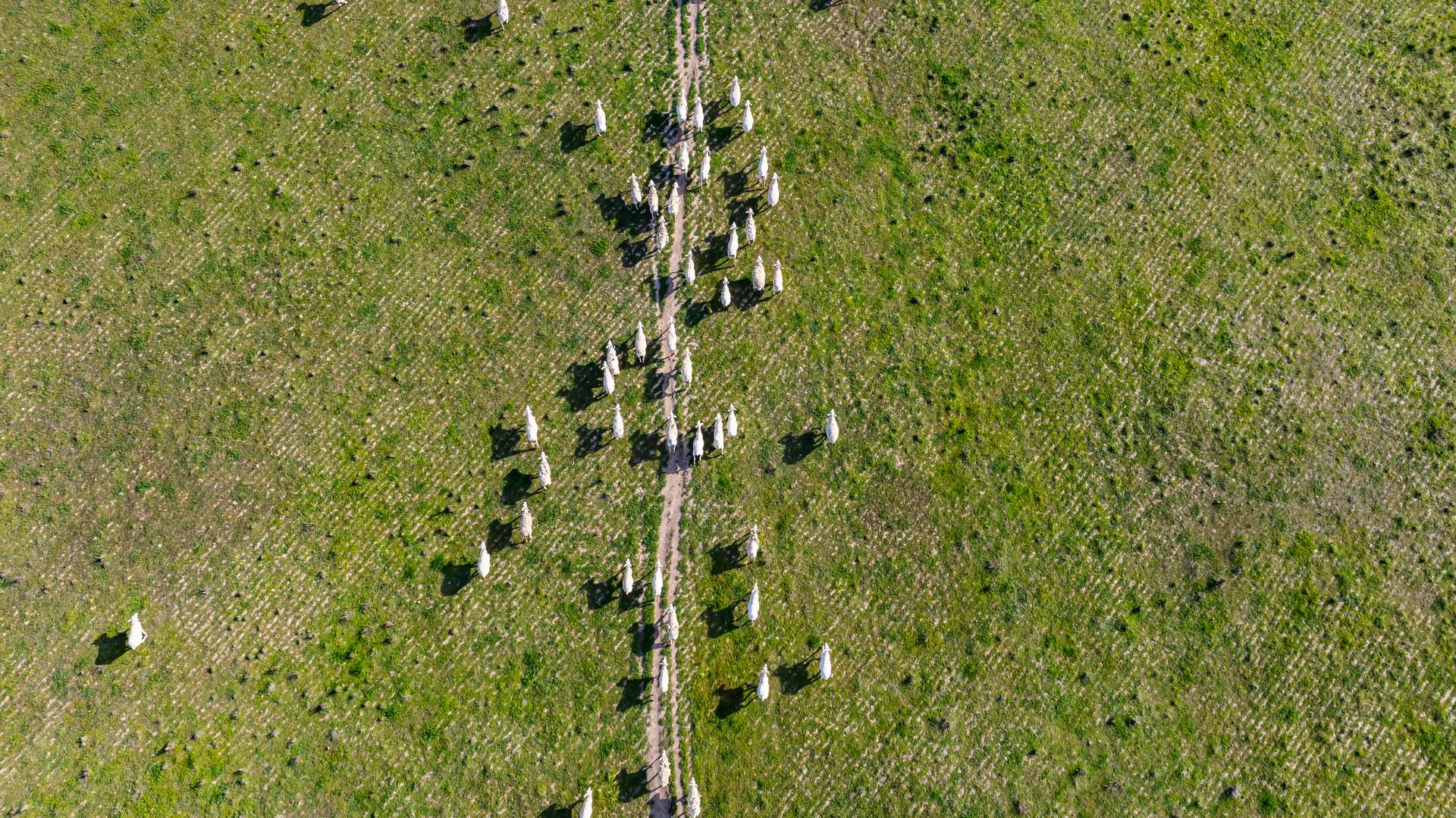 . Murray Valley Highway, Norong For Sale by Farmbuy.com - image 9