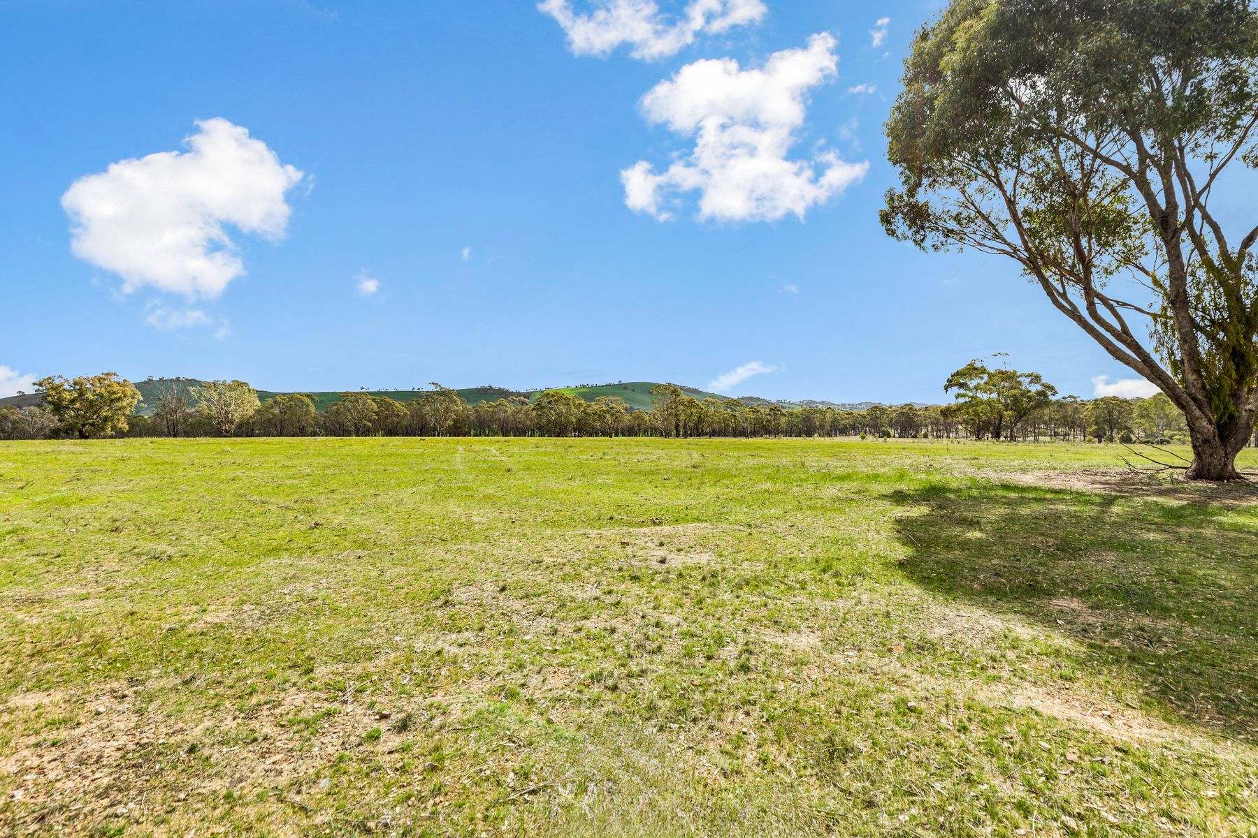 Lot Lot 5, 124 Pook Road, Redcastle For Sale by Farmbuy.com - image 7