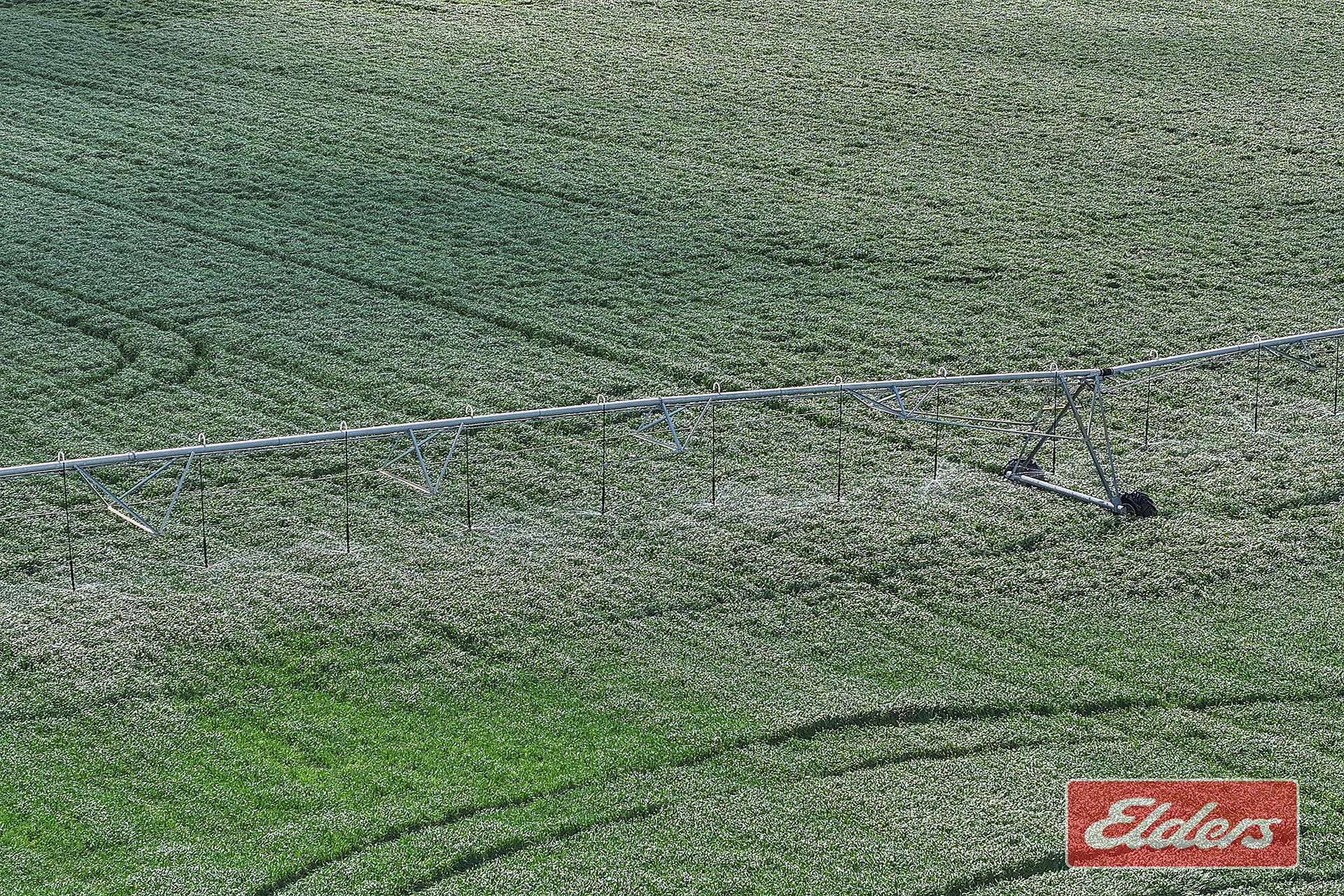 1350 Ryan Road, Kyabram For Sale by Farmbuy.com - image 27