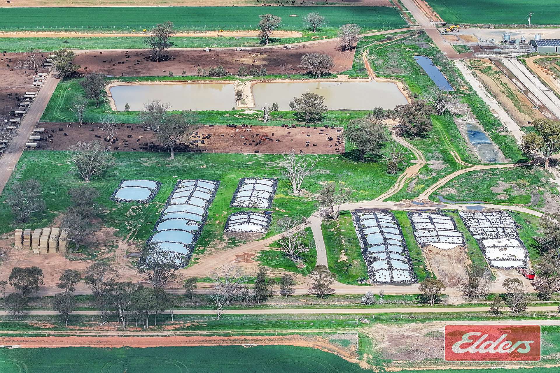 1350 Ryan Road, Kyabram For Sale by Farmbuy.com - image 9