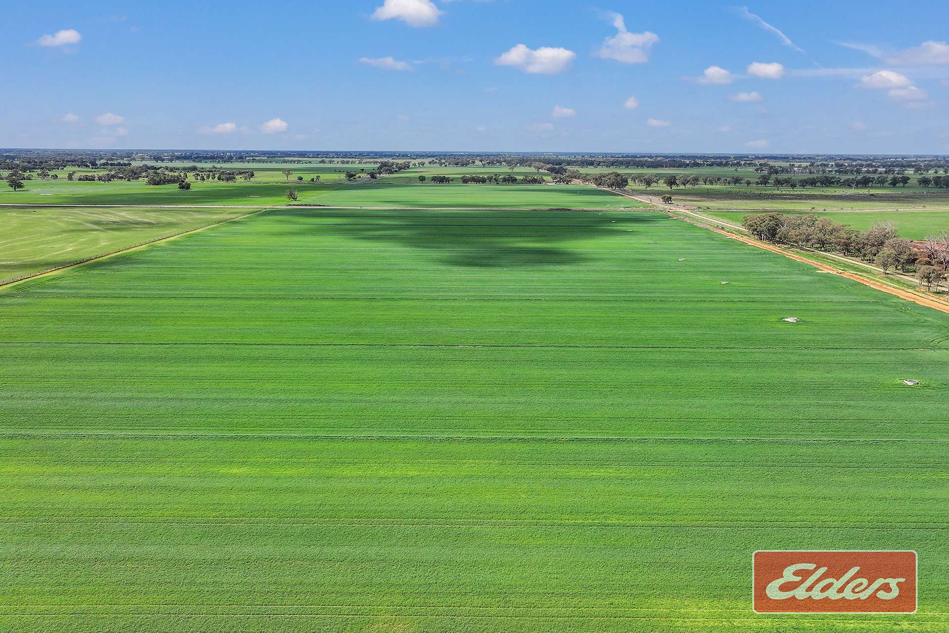 1350 Ryan Road, Kyabram For Sale by Farmbuy.com - image 33
