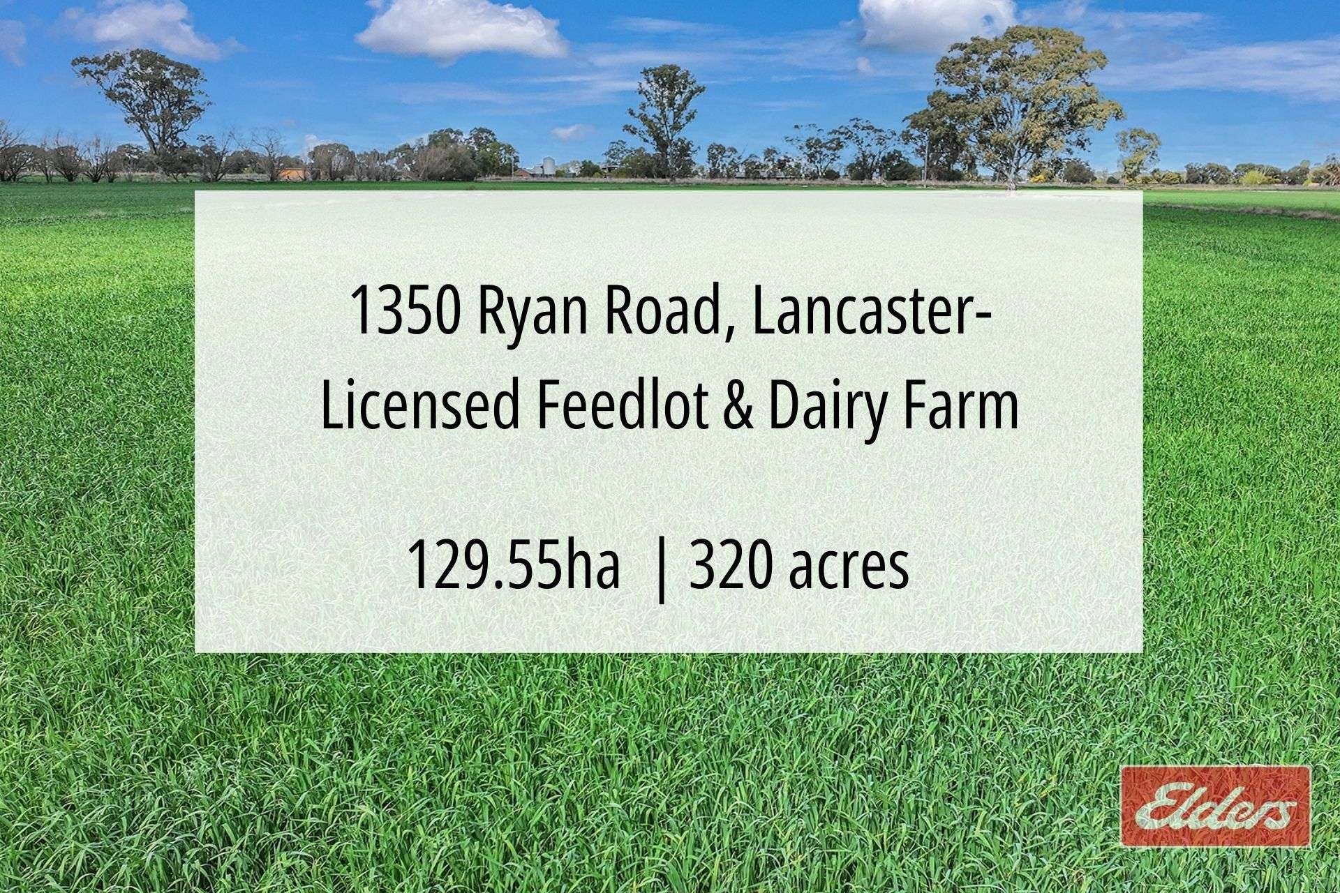 1350 Ryan Road, Kyabram For Sale by Farmbuy.com - image 4