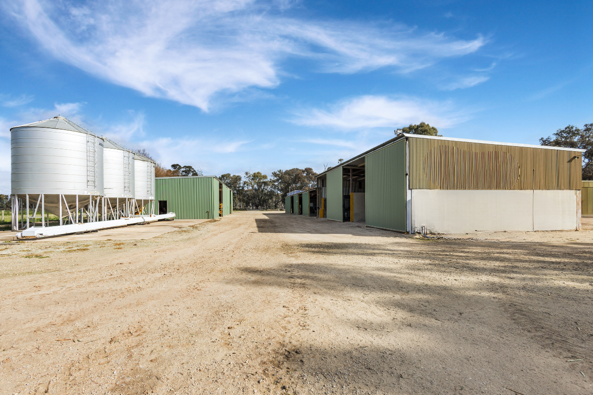 362 Thompsons Bridge Road, Gunbower For Sale by Farmbuy.com - image 30