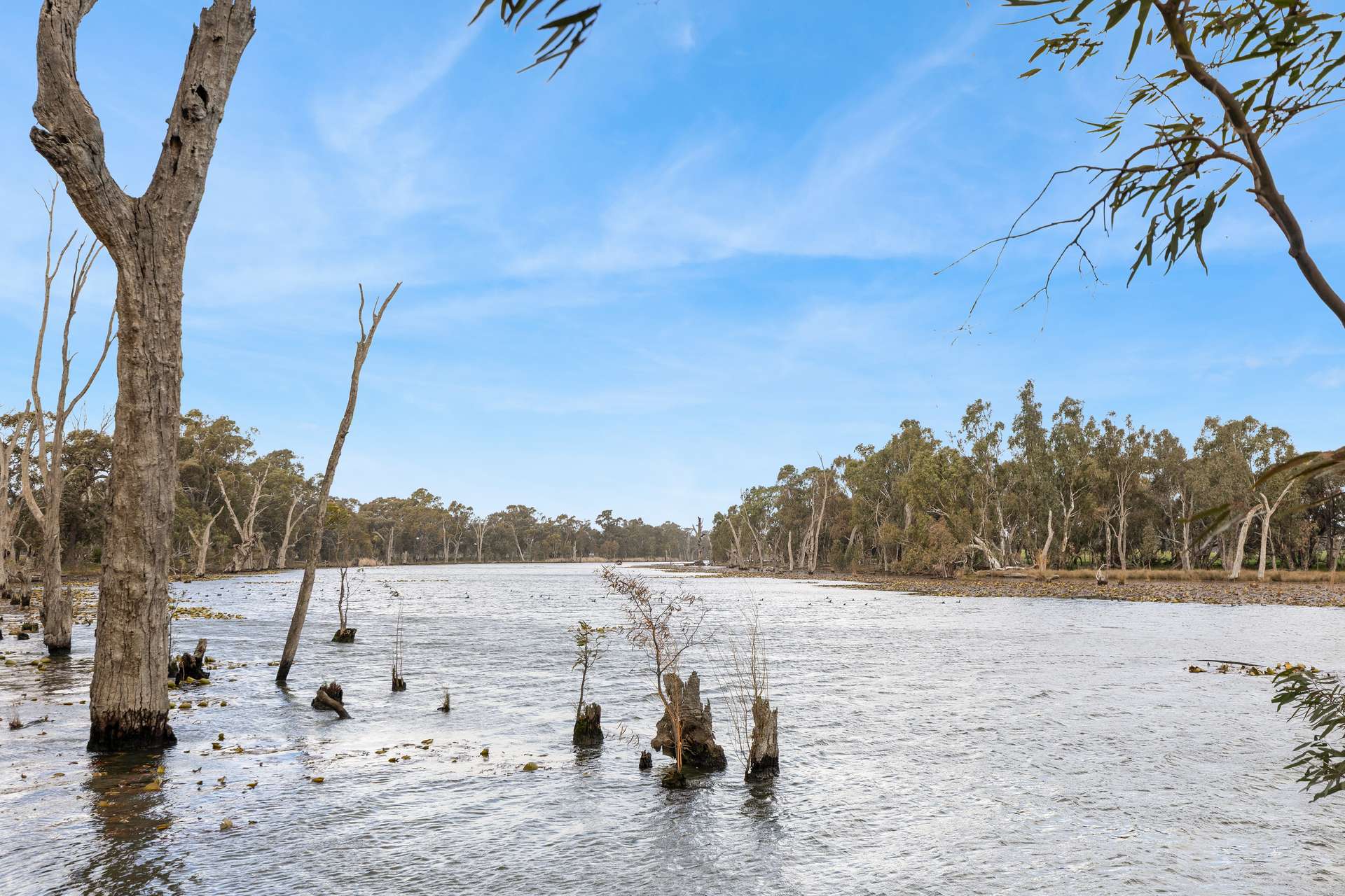 362 Thompsons Bridge Road, Gunbower For Sale by Farmbuy.com - image 35