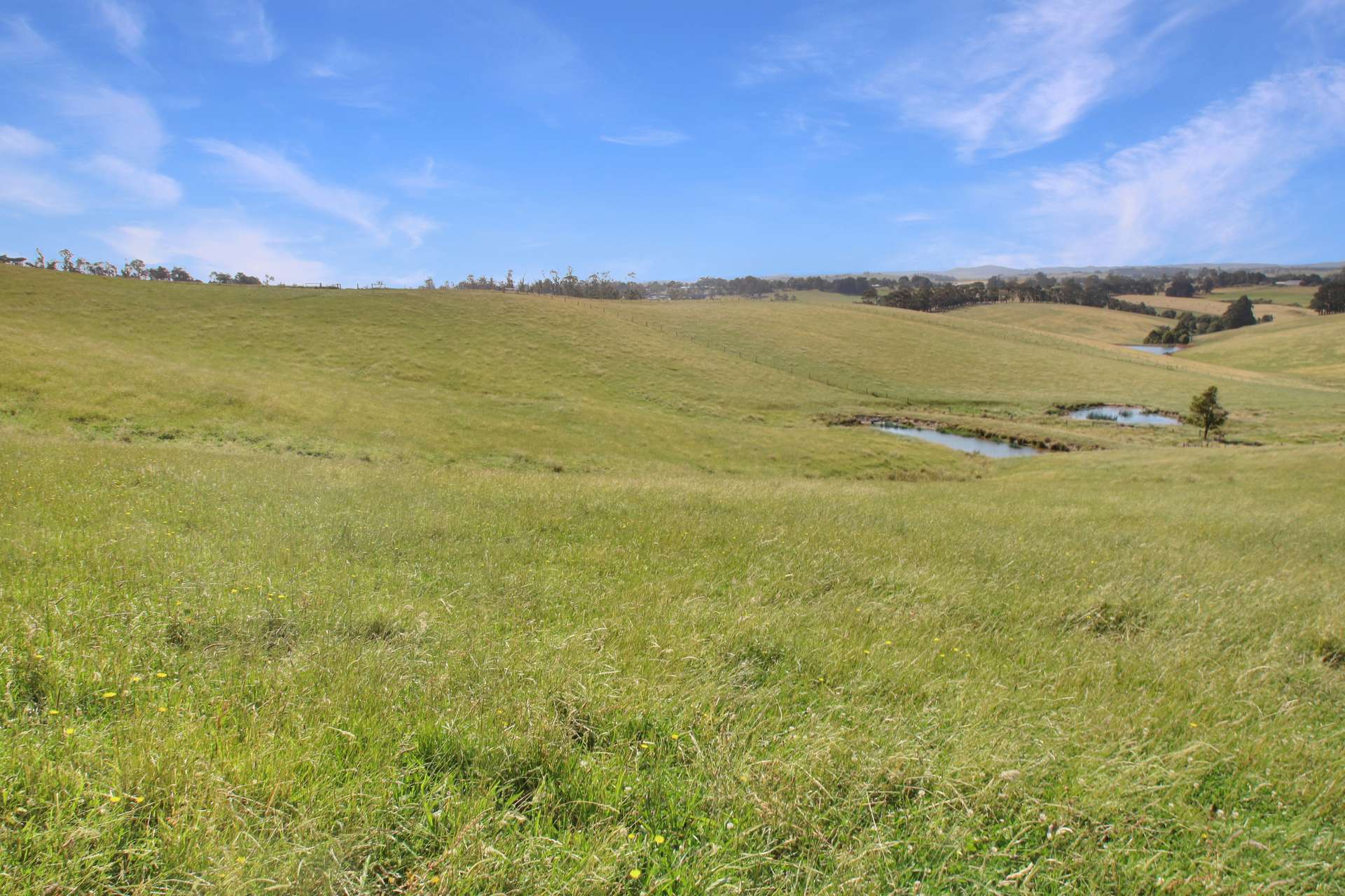 3233 Strzelecki Highway, Mirboo North For Sale by Farmbuy.com - image 18
