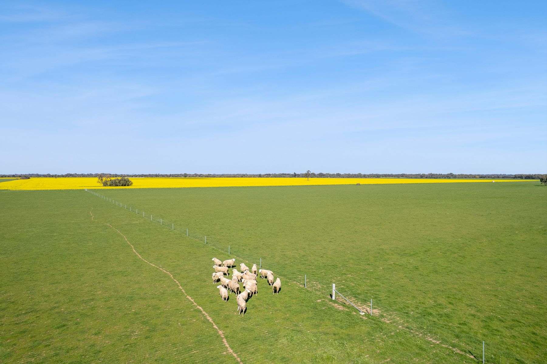 Lot 2 Coughlins Road, Hunter Sold by Farmbuy.com - image 15