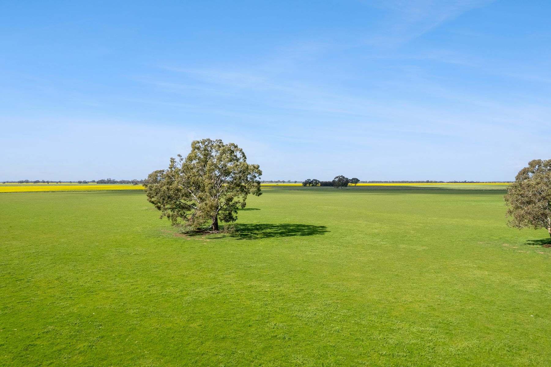 Lot 2 Coughlins Road, Hunter Sold by Farmbuy.com - image 16