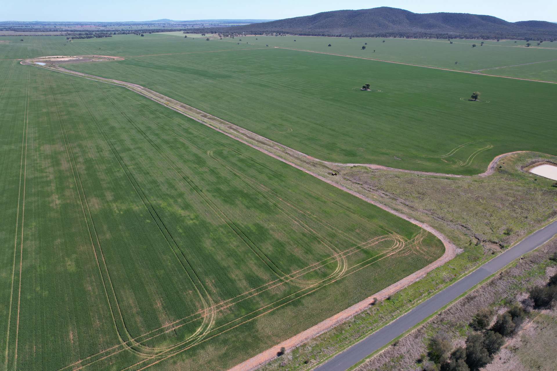 2190 Yarrabandai Road, Trundle For Sale by Farmbuy.com - image 14