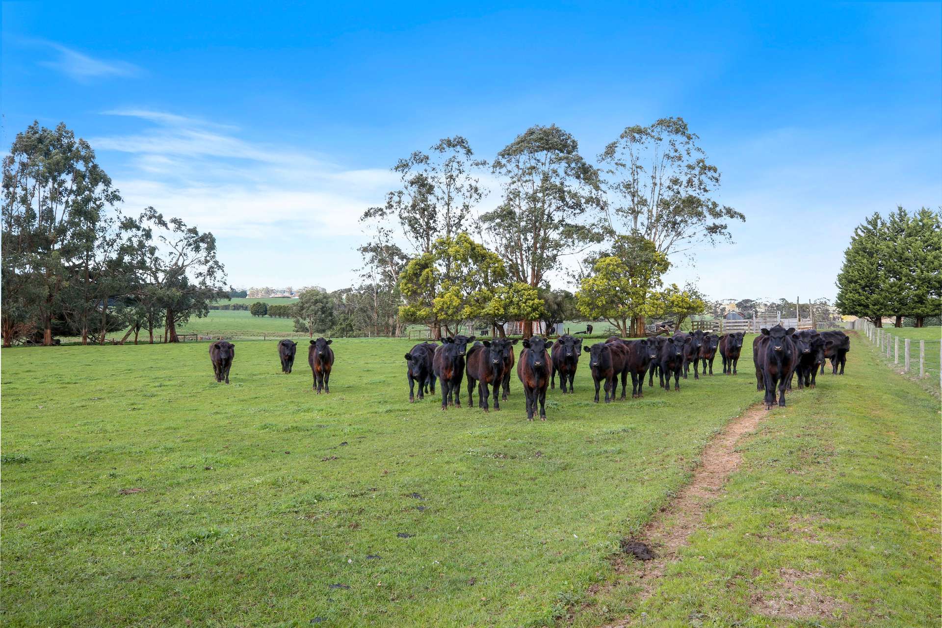 172 Copelands Road, Warragul Sold by Farmbuy.com - image 19