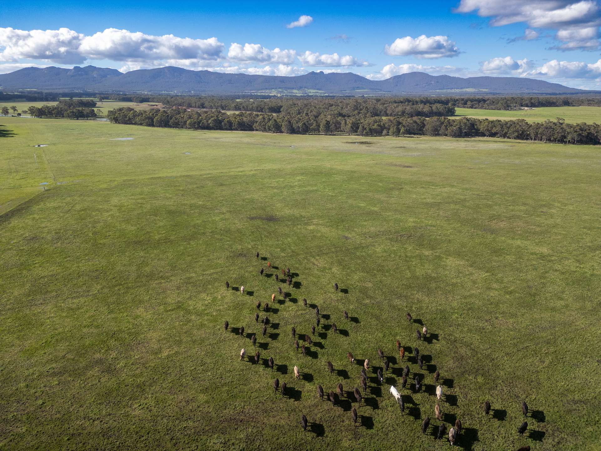 1298 Yellanup Road, Narrikup Sold by Farmbuy.com - image 35