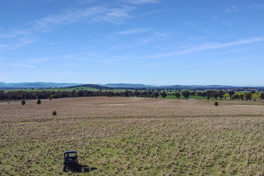 Loch Lomond Road, Gooloogong NSW 2805