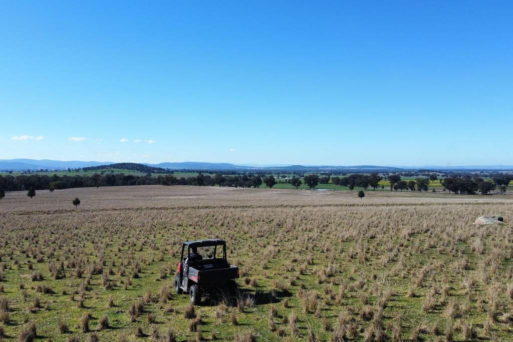 Loch Lomond Road, Gooloogong NSW 2805