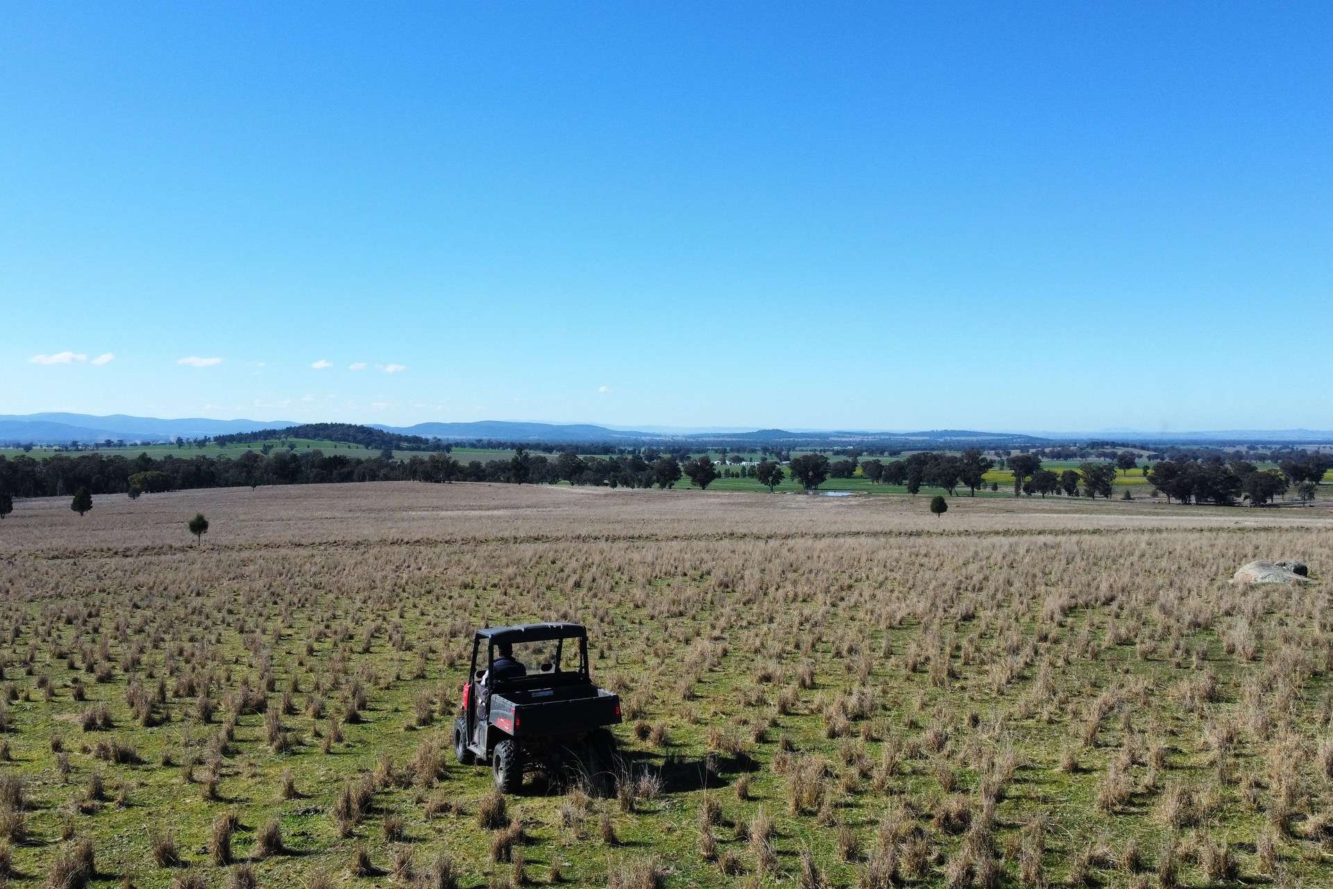 Loch Lomond Road, Gooloogong For Sale by Farmbuy.com - image 1