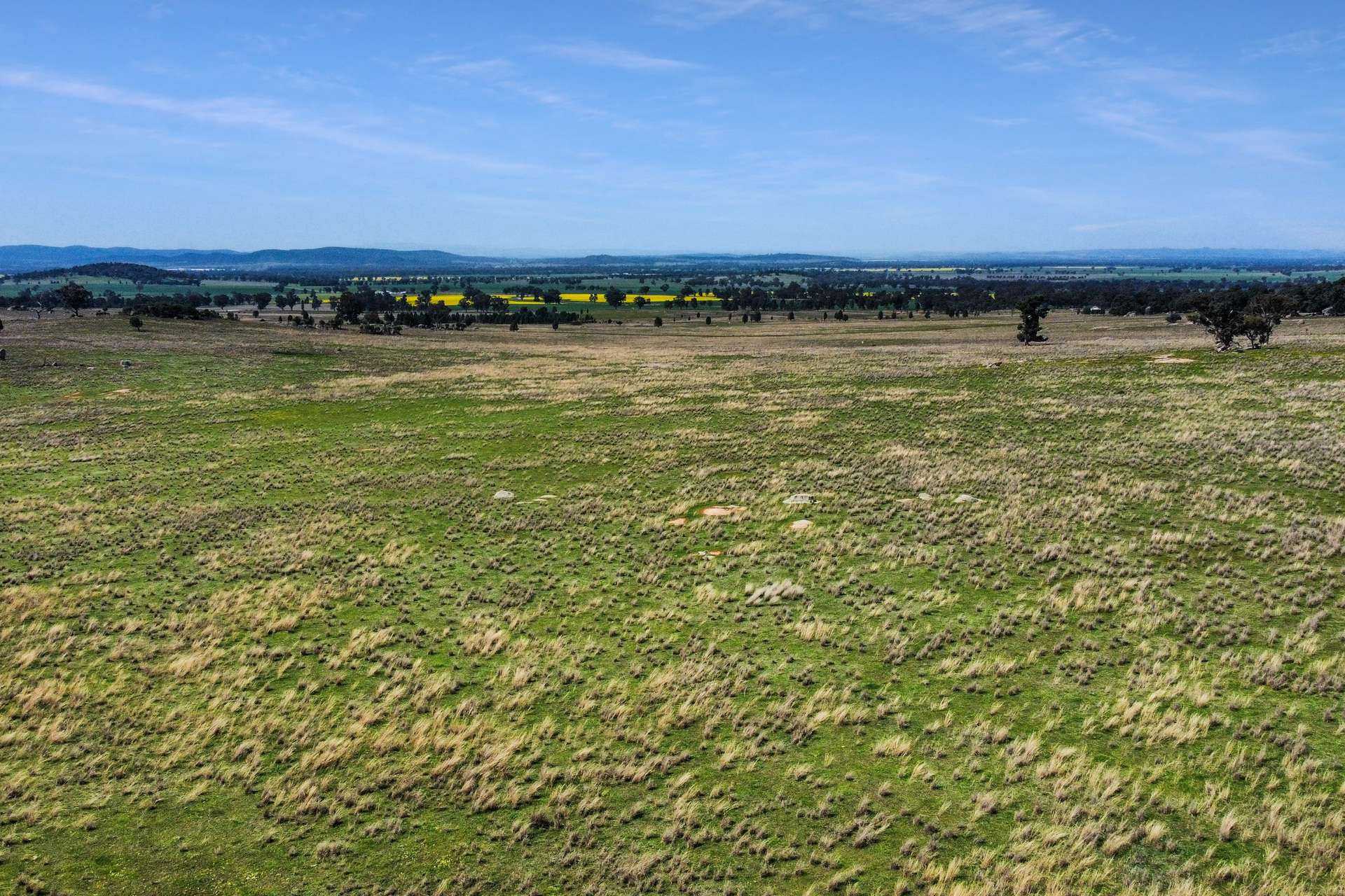 Loch Lomond Road, Gooloogong For Sale by Farmbuy.com - image 15