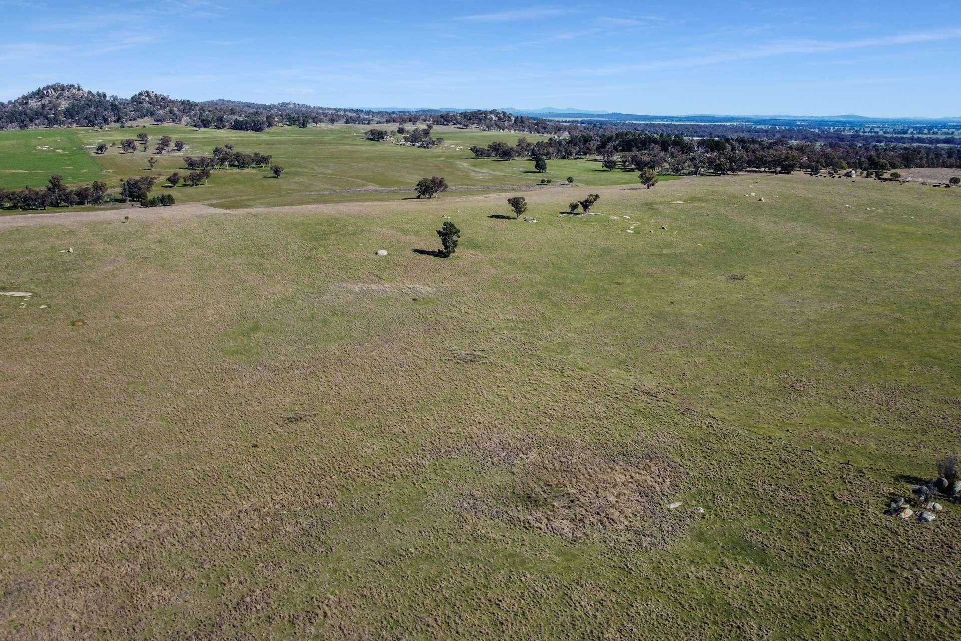 Loch Lomond Road, Gooloogong For Sale by Farmbuy.com - image 8